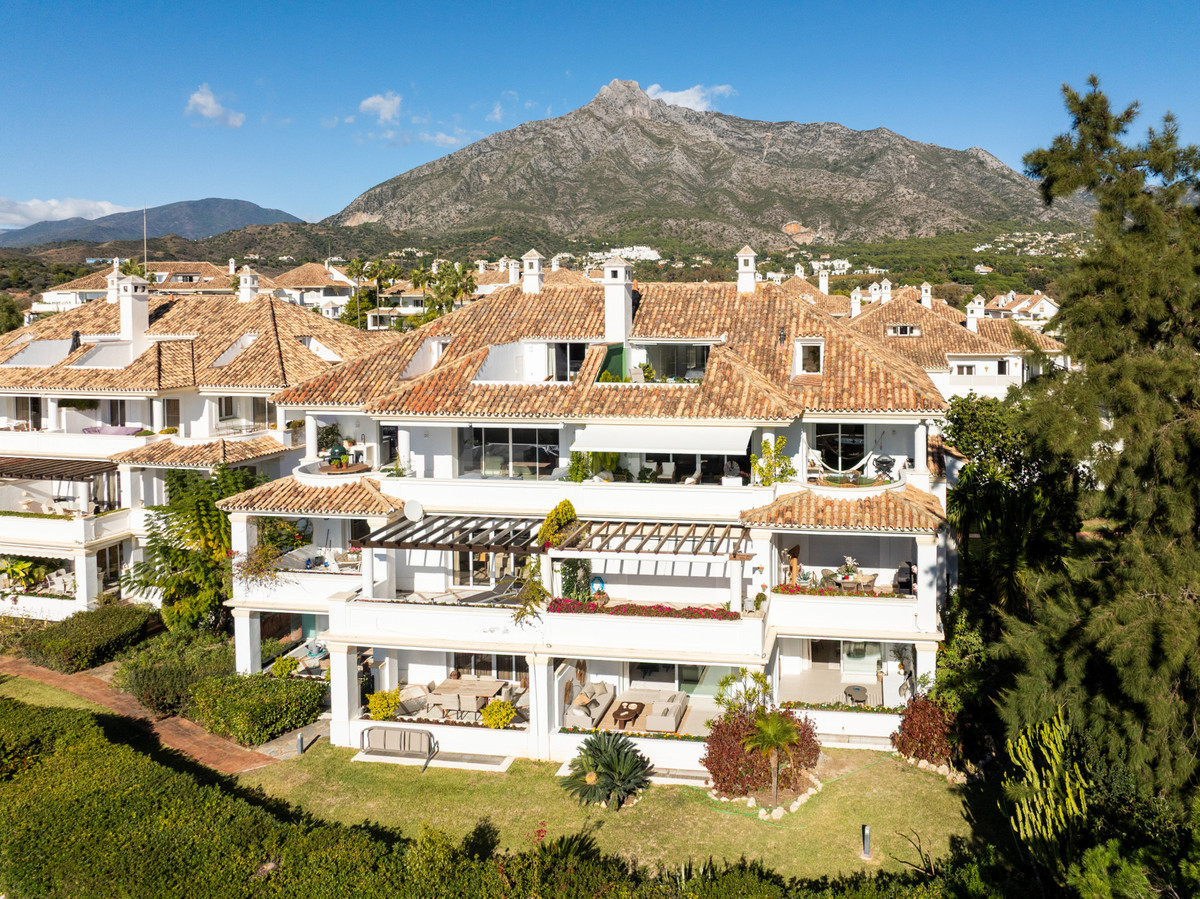 House in Nueva Andalucia - view 1